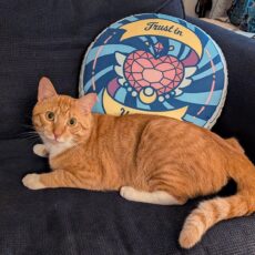 Trust In Yourself Custom-shaped pillow (Dark Mode)