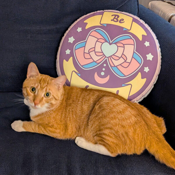 Be Magical Custom-shaped pillow (Light Mode)