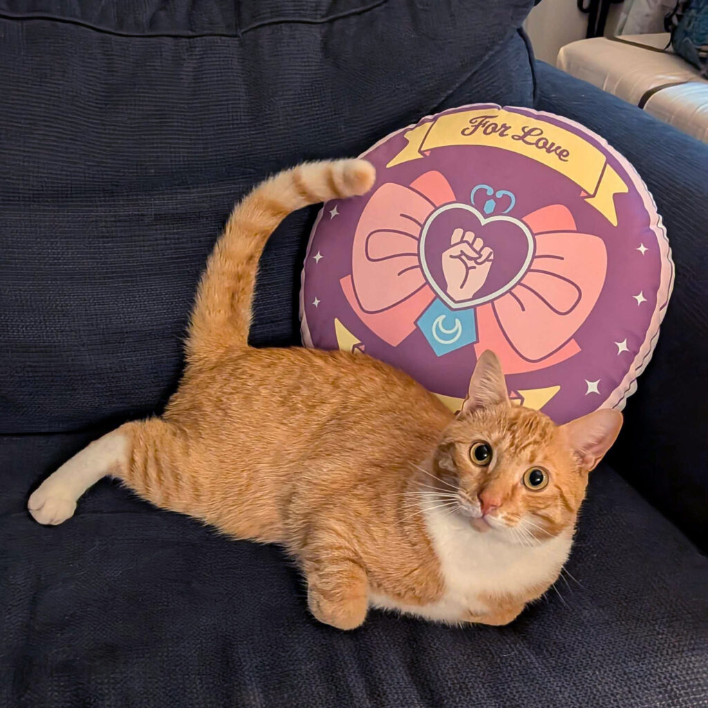For Love & Justice Custom-shaped pillow (Light Mode)