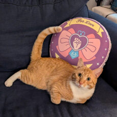 For Love & Justice Custom-shaped pillow (Light Mode)