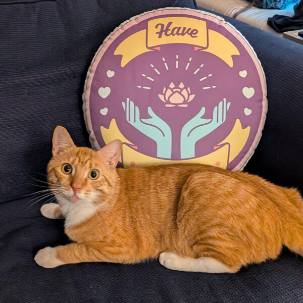 Have Hope Custom-shaped pillow (Light Mode)