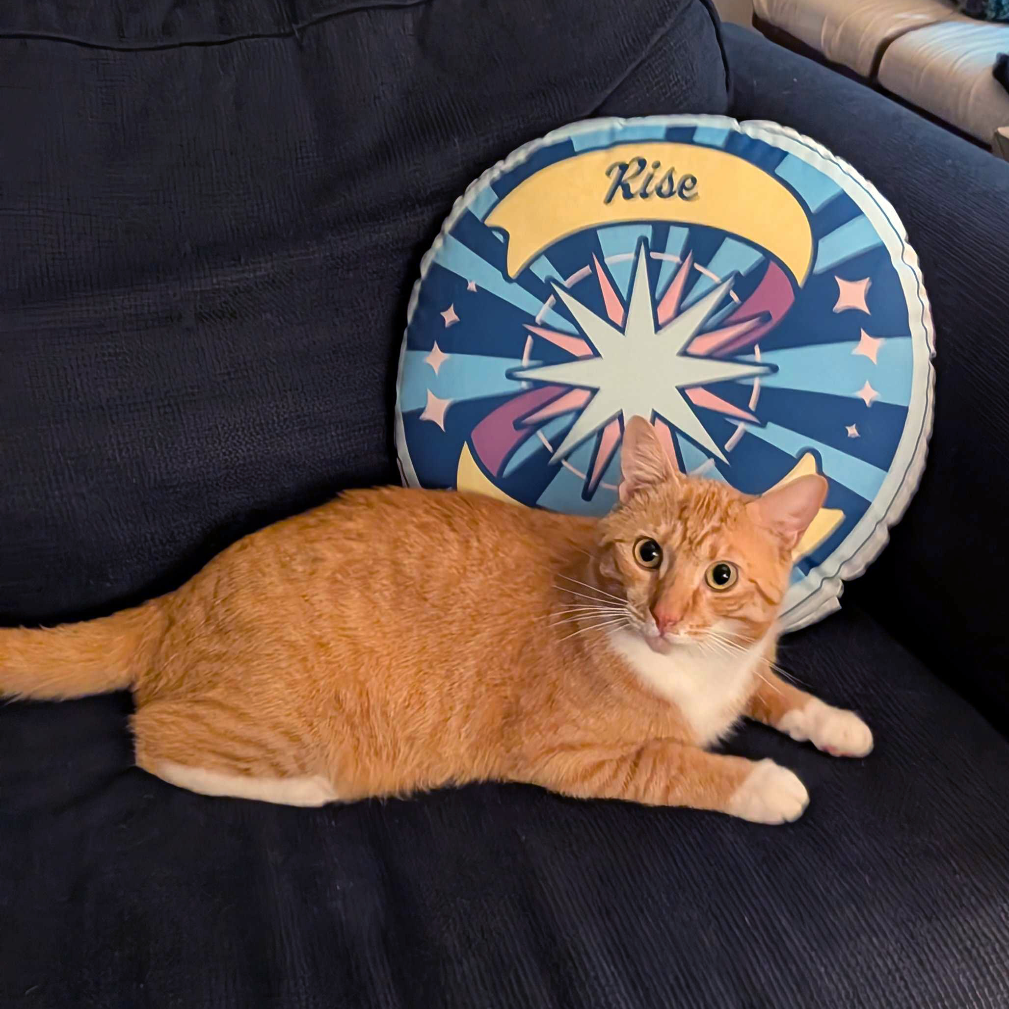 Rise Reborn Custom-shaped pillow (Dark Mode)