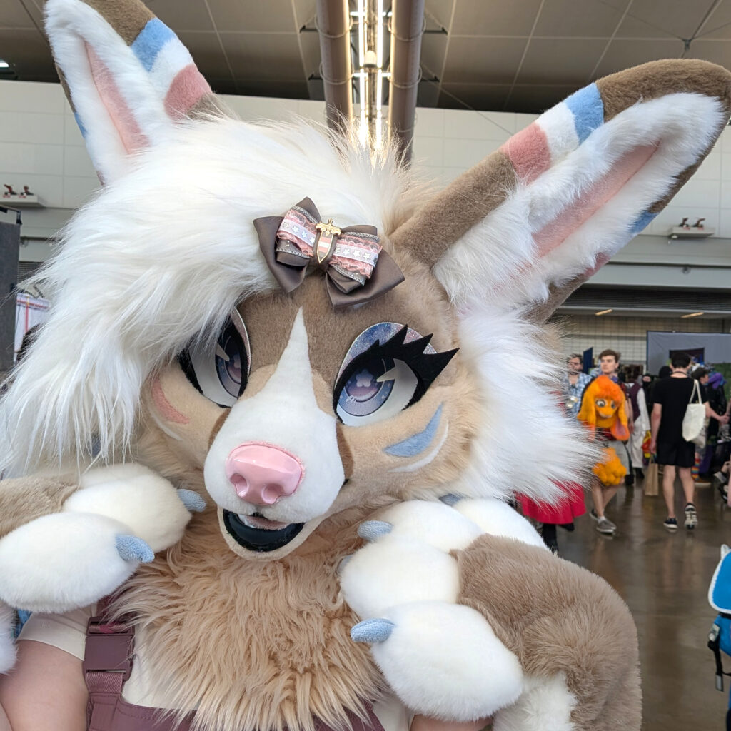 a fursuiter wearing one of my hair bows on their head